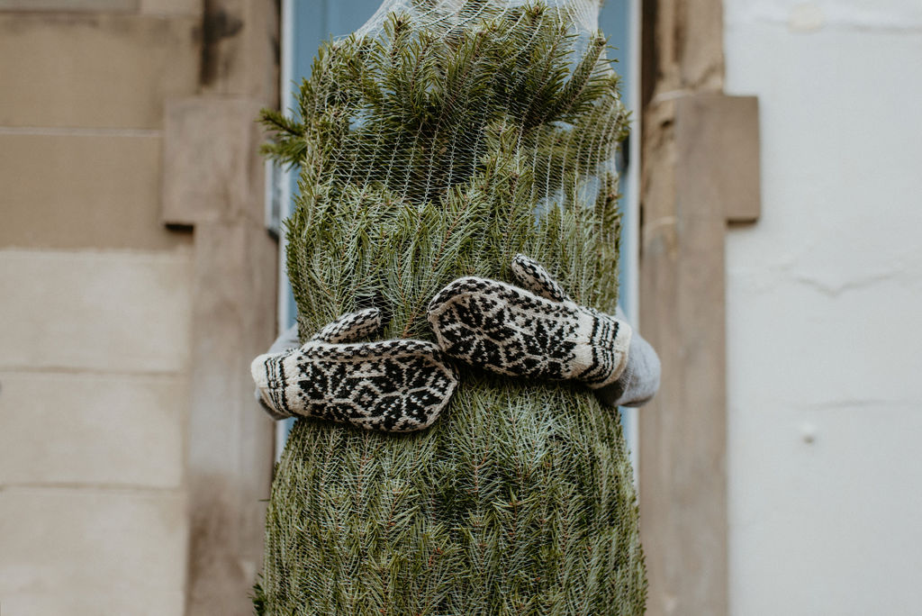 Bethany Caring Christmas Tree in Edinburgh