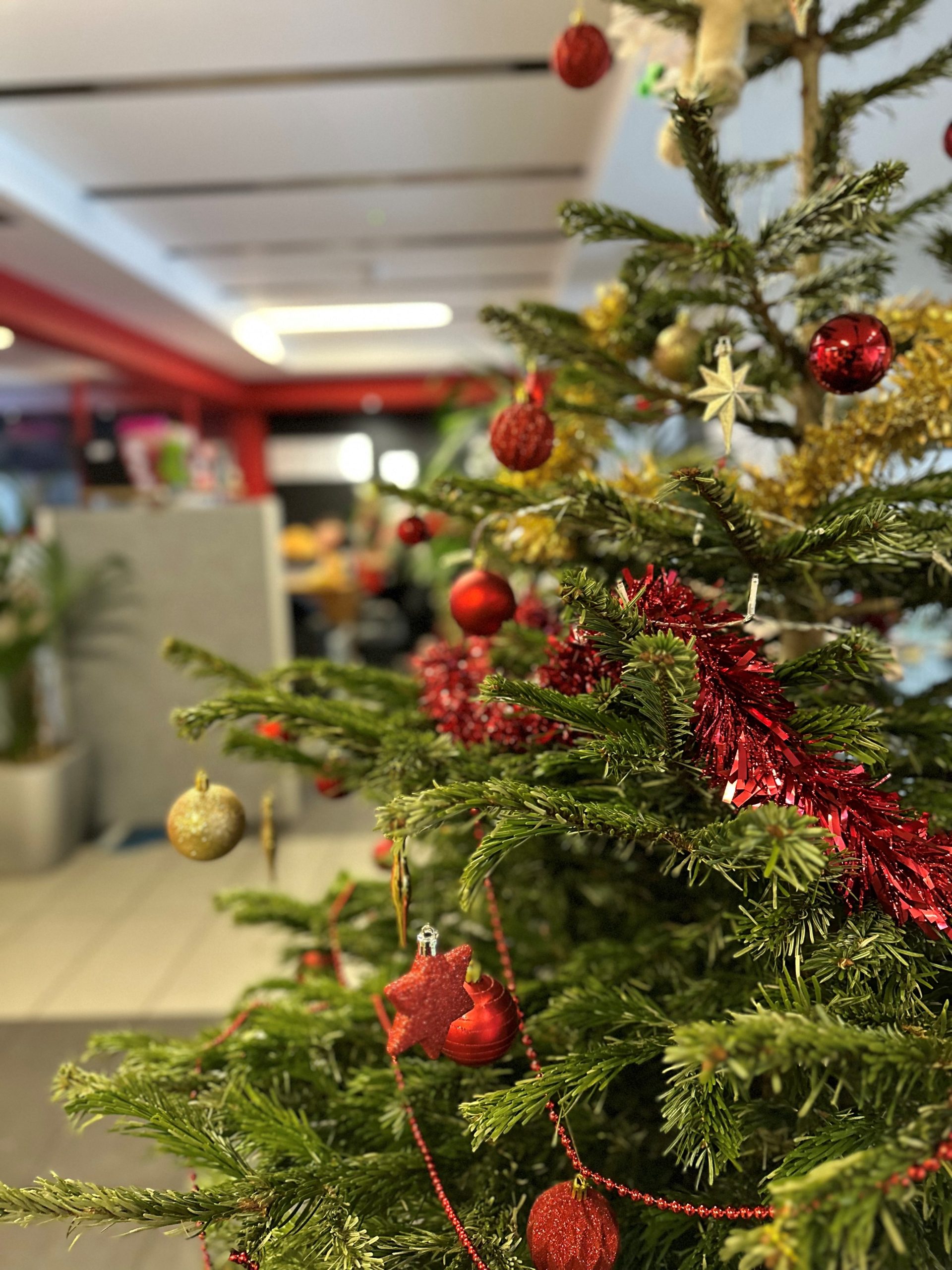 Christmas at the Rapid Re-accommodation Welcome Centre
